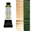 Daniel Smith Extra Fine Watercolors, Duochrome Saguaro Green 15ml 1 Daniel Smith Extra Fine Watercolors, Duochrome Saguaro Green 15ml -THE ART STORE CNY daniel smith daniel smith extra fine watercolors d 30