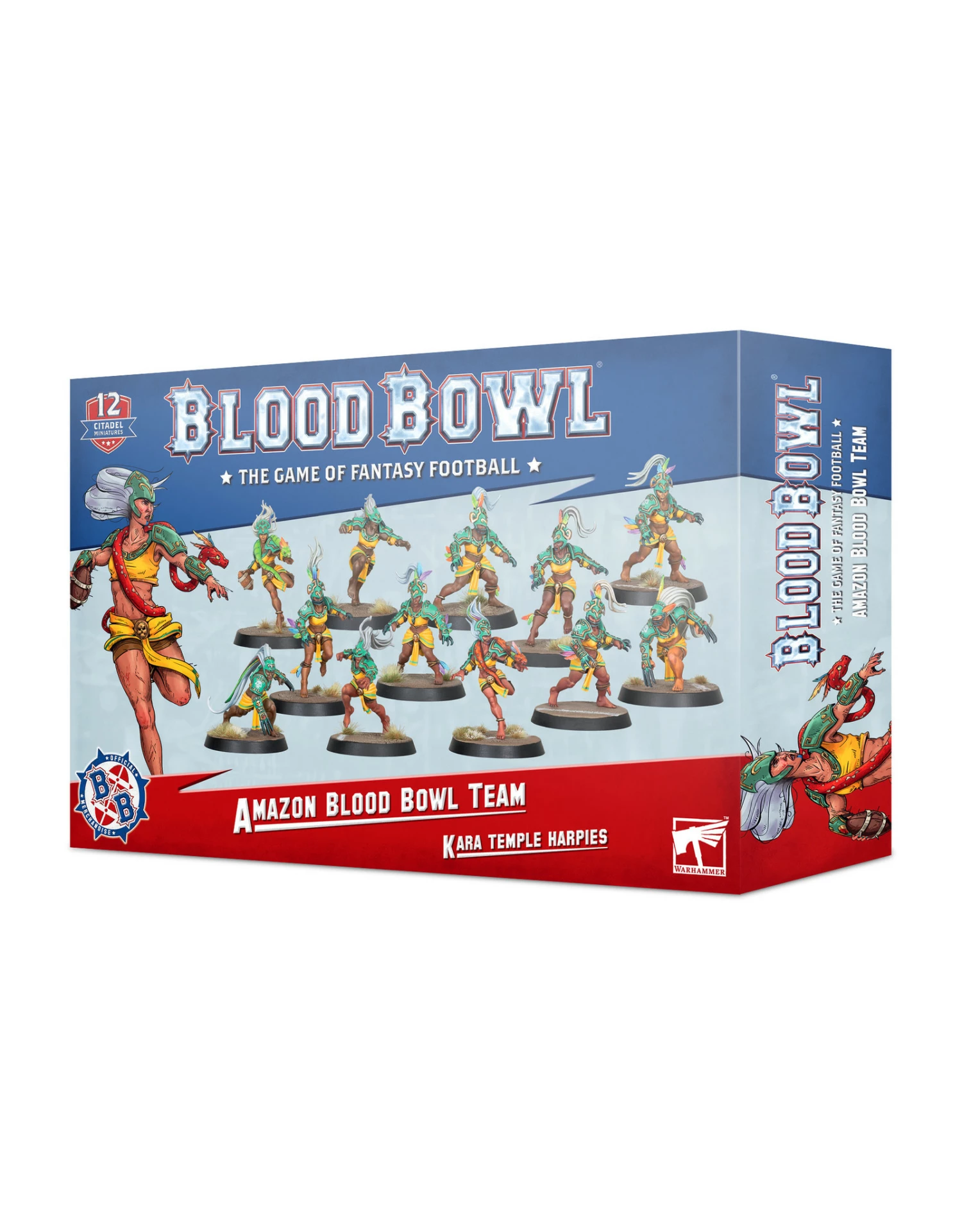 Games Workshop Blood Bowl Amazon Team 3 Games Workshop Blood Bowl Amazon Team