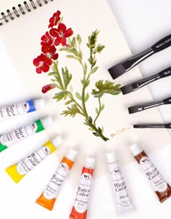 WA Portman Hot Press Watercolor Set 10 WA Portman Hot Press Watercolor Set -THE ART STORE CNY wa portman wa portman hot press watercolor set 1
