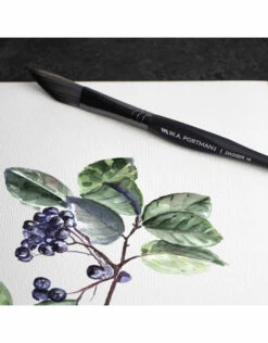 WA Portman Hot Press Watercolor Set 13 WA Portman Hot Press Watercolor Set -THE ART STORE CNY wa portman wa portman hot press watercolor set 4