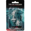 Wizkids Dungeons & Dragons Nolzur`s Marvelous Unpainted Miniatures: W12 Male Tiefling Sorcerer 1 Wizkids Dungeons & Dragons Nolzur`s Marvelous Unpainted Miniatures: W12 Male Tiefling Sorcerer -THE ART STORE CNY wizkids dungeons dragons nolzurs marvelous unpaint 109