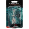 Wizkids Dungeons & Dragons Nolzur`s Marvelous Unpainted Miniatures: W9 Female Human Fighter -THE ART STORE CNY wizkids dungeons dragons nolzurs marvelous unpaint 28